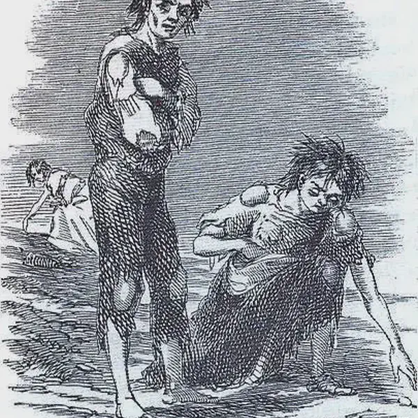 A 1851 census shows the population of Ireland to be 6,552,385, it has declined by one-fifth since 1845