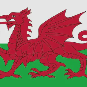 Gruffydd Ab Rhys II, died